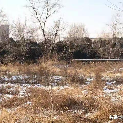 包子工厂出租