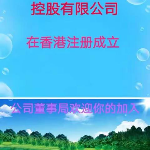 中国收购企业集团控股有限公司