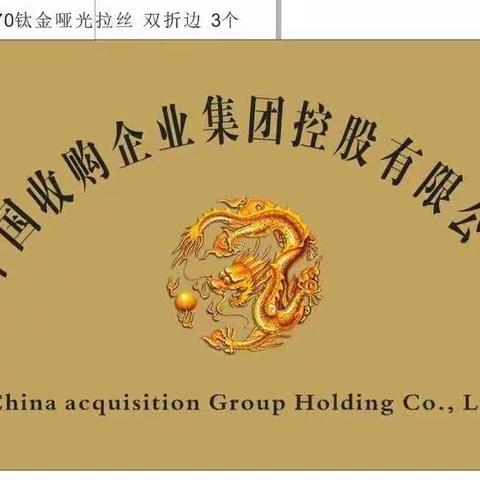 中国收购企业集团控股有限公司