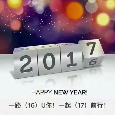 芬兰之行🌺🌺