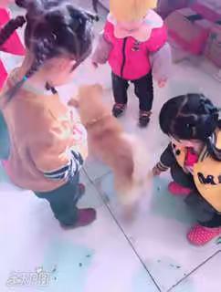 阳光早教的美篇