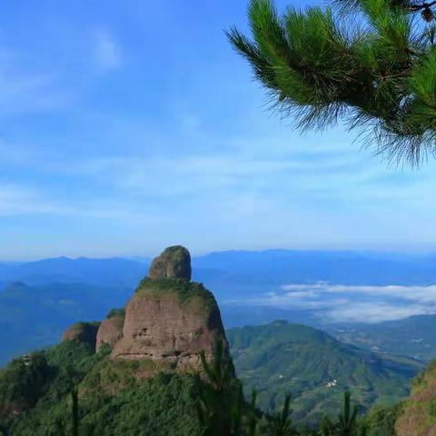 避暑在遂昌高坪乡。国家生态文明建设示范乡镇。浙江省避暑气候胜地。