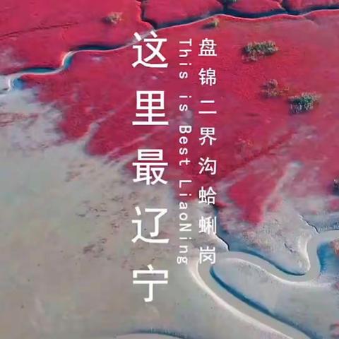 “踏浪拾贝”“金滩渔风”“放牧海洋”  ----光合蟹业蛤蜊岗“海洋牧场”体验行攻略