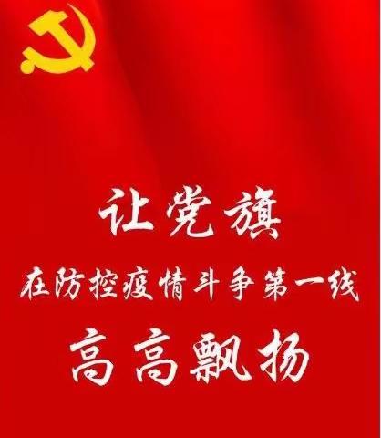 战“疫”一线、党旗飘扬——柳河县青少年活动中心党支部