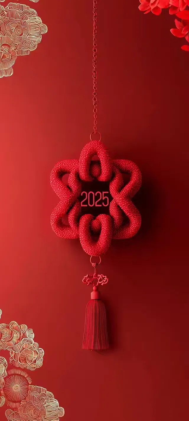 年 2025 春节