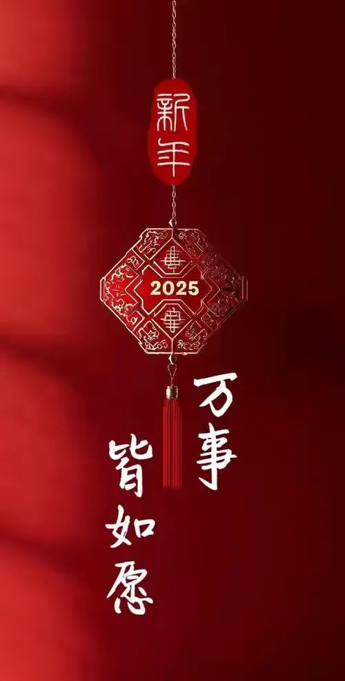 年 2025 春节