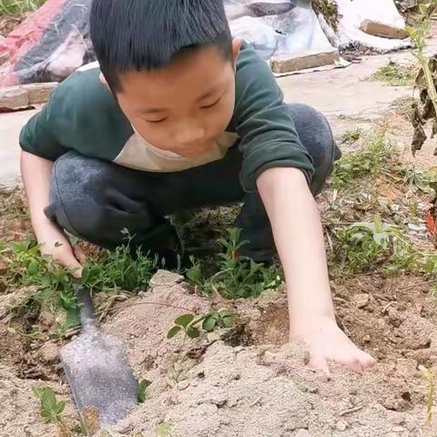 亲近大自然  拥抱新和谐