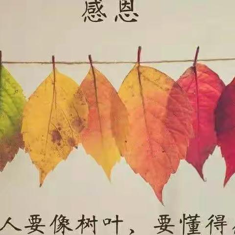 学会感恩，人生一定一帆风顺