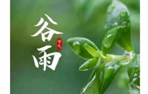 谷雨百花芳，同学忆情长。