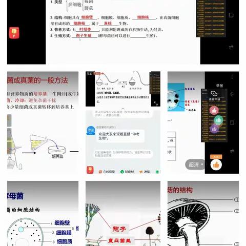 2017级空中课堂生物学习(十一)