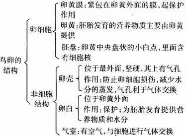 2017级空中课堂生物学习（二十三）小实验专题