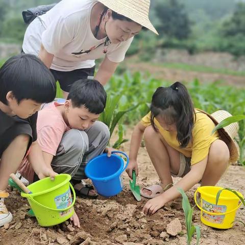 斑马夏令营，我们一起去吧！