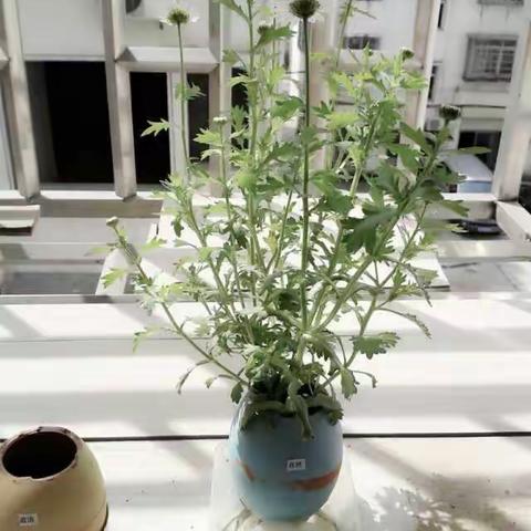 过去的回忆（2013年-2017年朋友圈发过的部分内容）