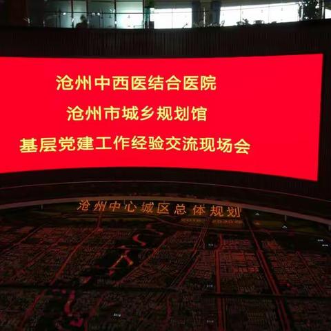 外科第二支部主题党日活动“建文明沧州爱美丽狮城”系列活动之～走进沧州规划馆