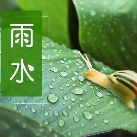 《雨水》节气——大一班活动课程