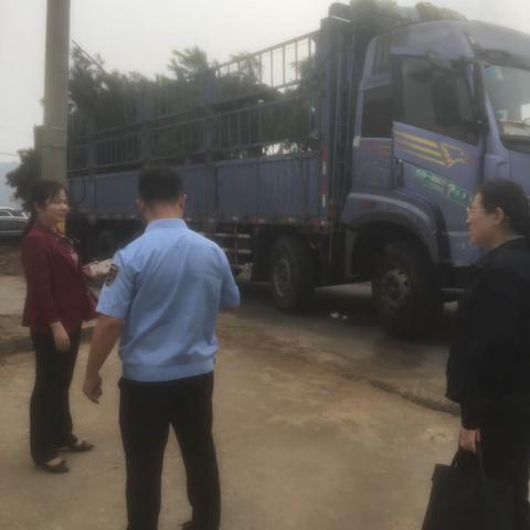 严格执法，确保生态环境安全