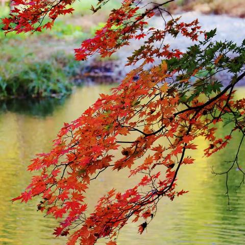 老边沟和大石湖，演绎着秋日的斑斓童话！