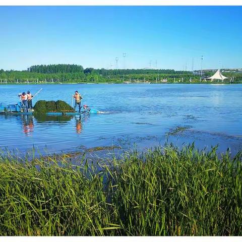 塞外阜新的"四季牧歌"
