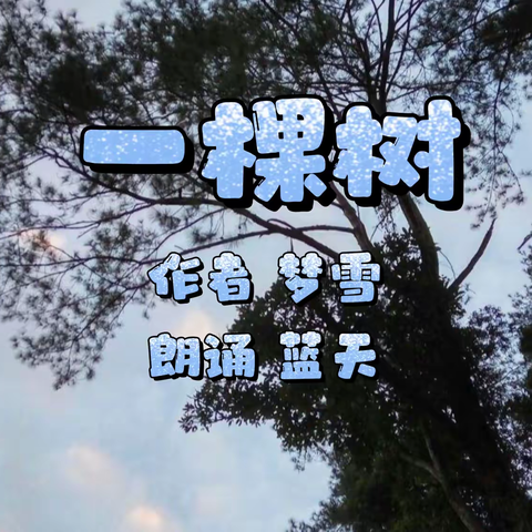 朗诵《一棵树》