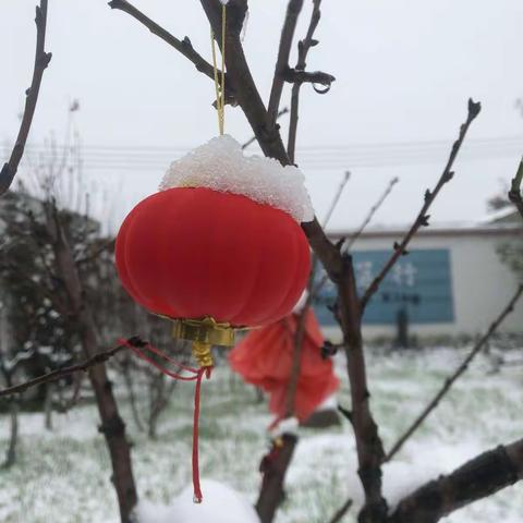 关注学生安全，打造美丽校园
——永宁小学“青年文明号”扫雪活动