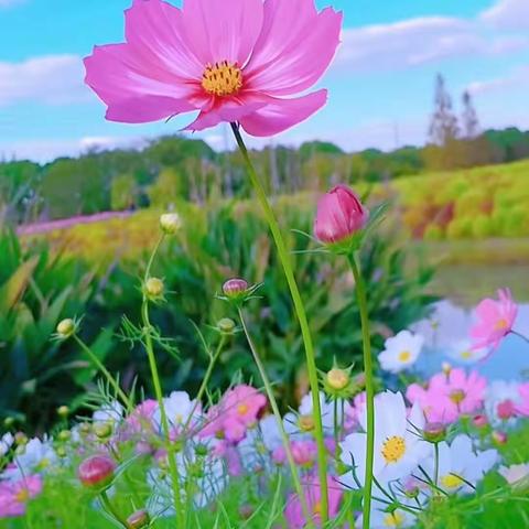 四月的塔河，醉人的感觉