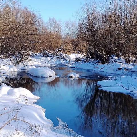 兴安岭冬月的风景