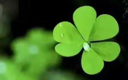 永远的九年级一班20170901—20191111