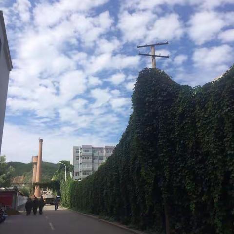 英杰中学211班军训特辑（二）