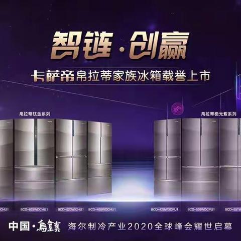 2020～卡萨帝海尔冰箱