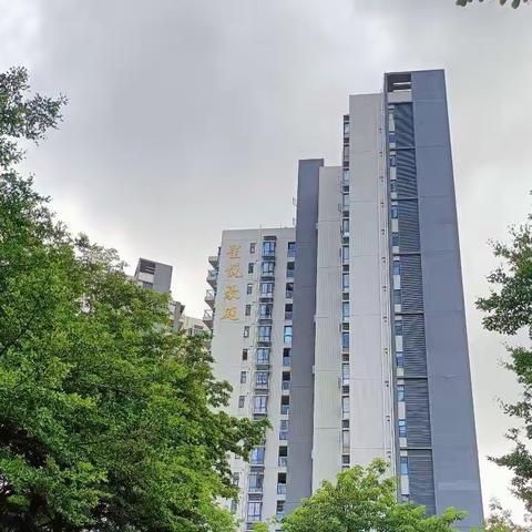 深圳上星社康服务站暖心为老年人健康护航