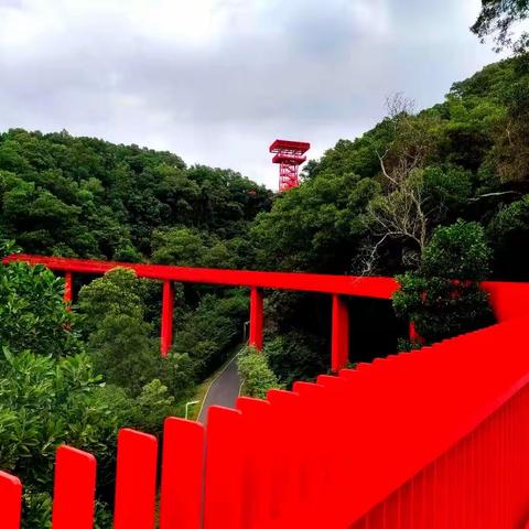 打卡光明虹桥公园畅享最美红飘带