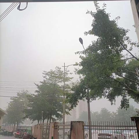 我在的城市下雨了