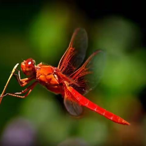 人活着，需要一点敬畏