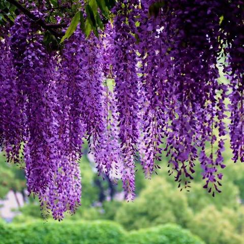 让开心成为一种习惯