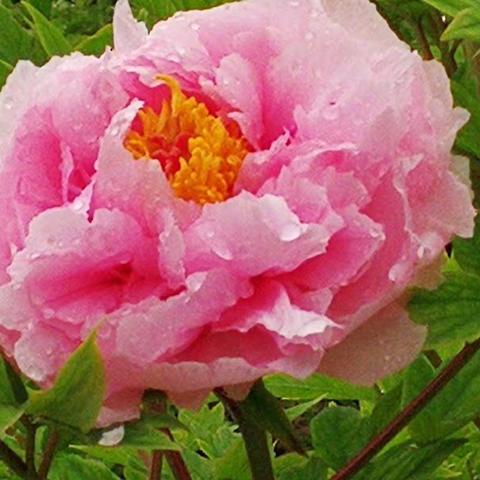 《做最好的自己》