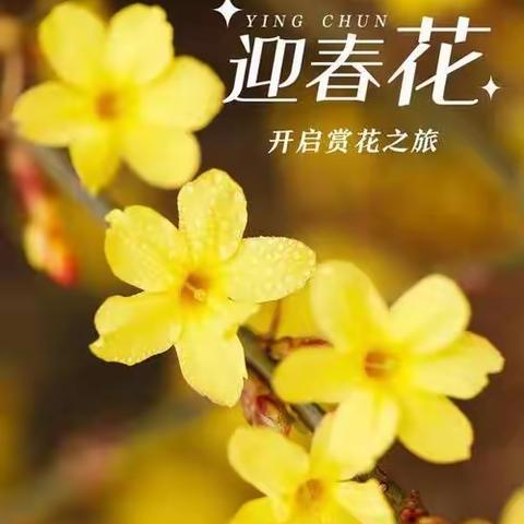 总有一个春天，为你而明媚