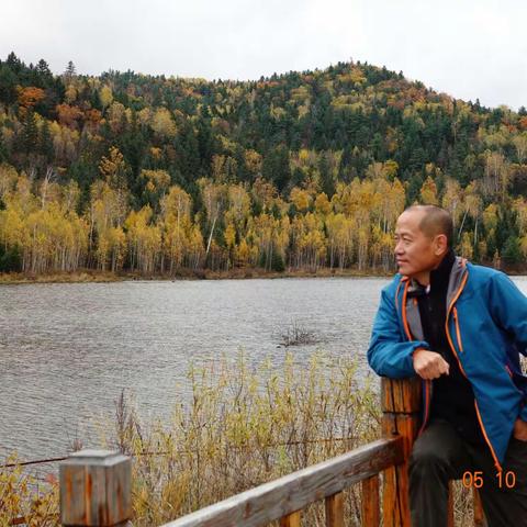 东北大小兴安岭之醉美金秋（上）~自驾国道331伊春.黑河.漠河