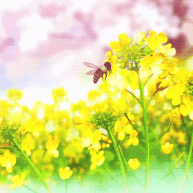 教研花开三月暖，同心掬得满庭芳——宜都市初中语文教研组长暨校本教研培训活动掠影