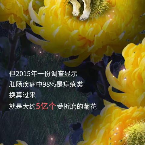 痔疮是怎么跑到你的菊花里的？