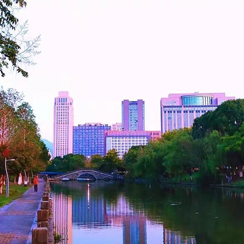 “轩岚诺”过后，象山的第一个早晨