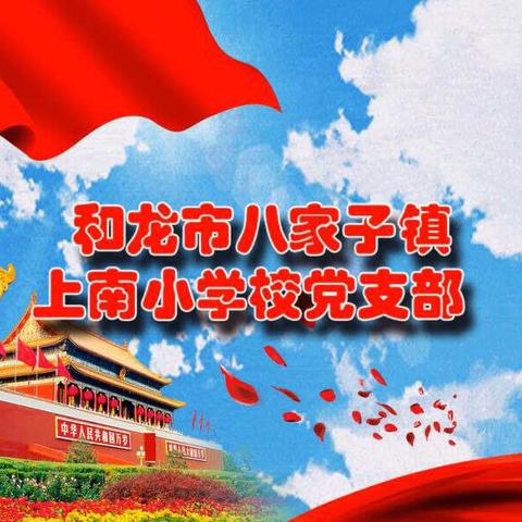 2019年度上南小学党支部工作总结