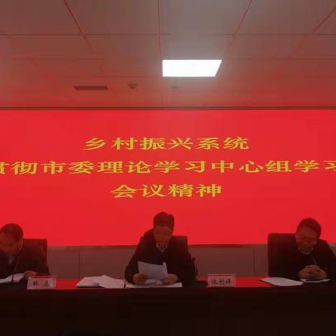 乡村振兴局学习贯彻市委理论学习中心组学习会议精神