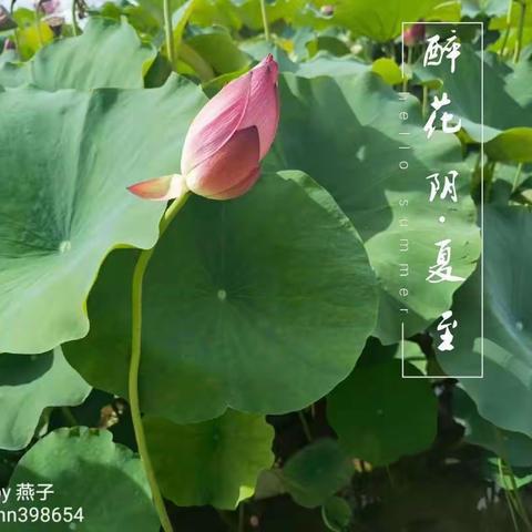 又是一年端午时🍀