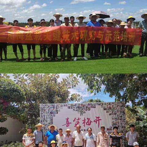 抓产业，促脱贫，强信心——海旅控股集团组织帮扶户参观扶贫产业项目