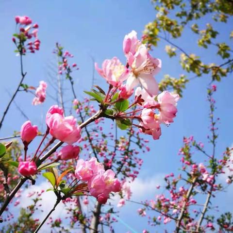 创建文明厨房，我们在行动