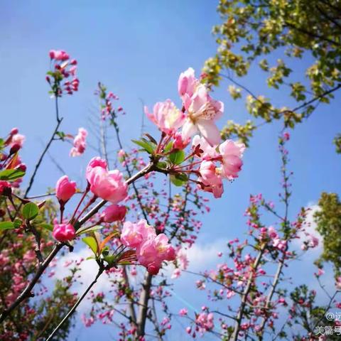 【健康与爱“食”刻相伴】——远东一小一周食谱