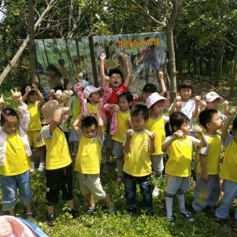 中二班春游美篇