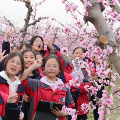 春风十里   不如有你——记三门峡高新国际学校七（3）班户外活动