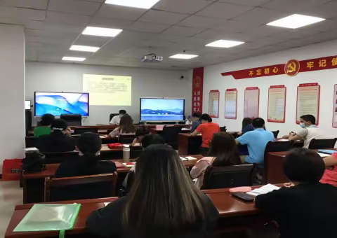 棠景街开展计生协会会员日暨婚育新风进万家宣传活动