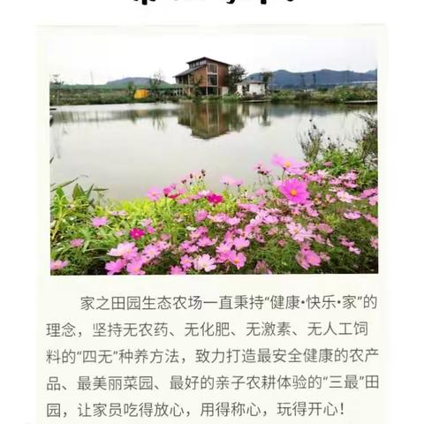 大宁小学一（2）班2019夏季亲子活动方案